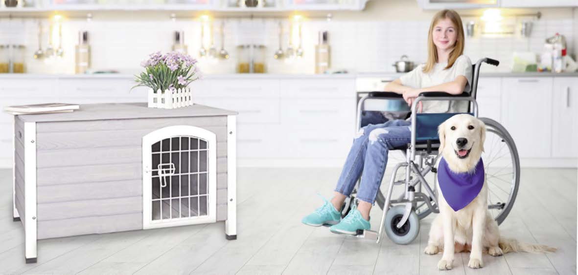 Girl in wheelchair with guide dog