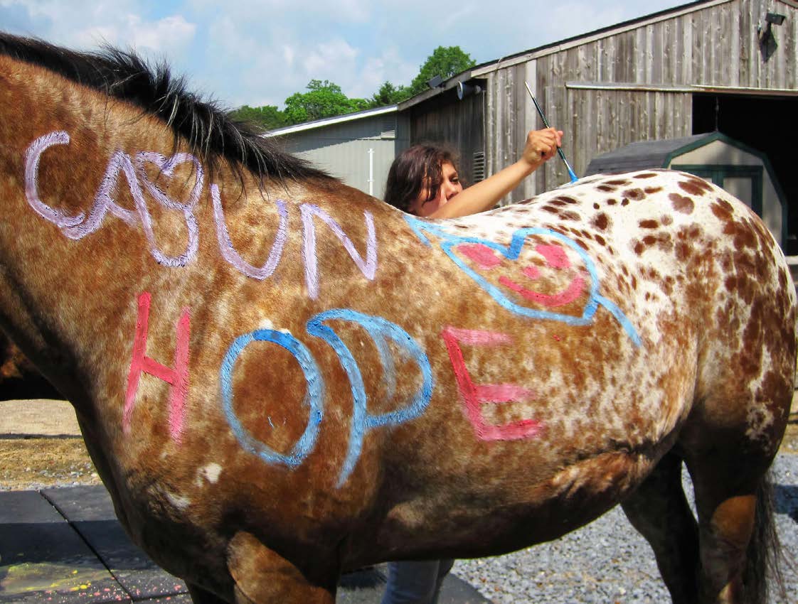 A STUDENT PAINTING DESIGNS ON A HORSE